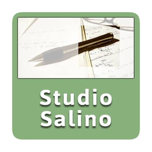 Logo Studio Salino